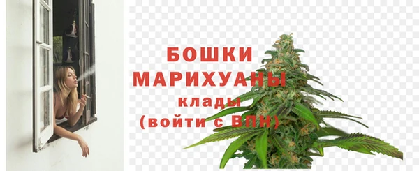 гидра Белокуриха